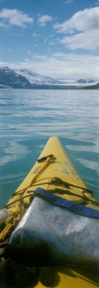 View looking towards Grand Pacific Glacier, Glacier Bay 1999