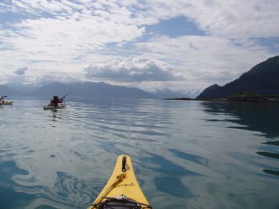 Turning into West Arm, Glacier Bay, 2009