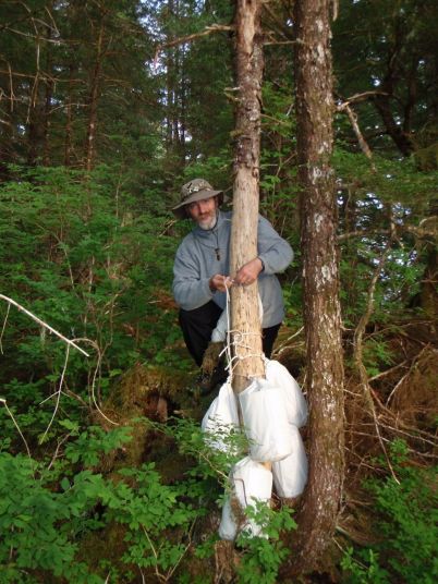 Drying gear, Neva Strait, SE Alaska, 2009