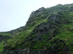 puffins nesting all over Inishvickillane